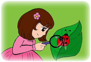 المكتشفة الصغيرة